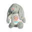 Picture of Bunny with Baby Plush Toy