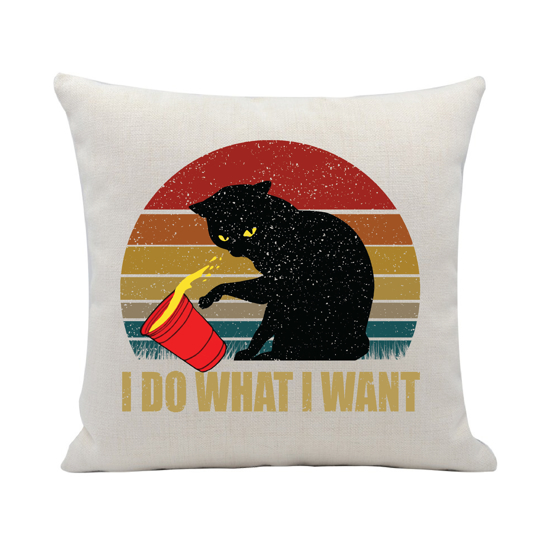 Picture of I Do What I Want Pillow