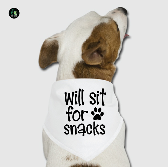 Picture of Will Sit for Snacks Pet Bandana