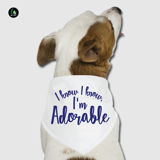 Picture of I Know, I Know, I'm Adorable Pet Bandana