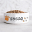 Picture of Orange Paws Pet Bowl