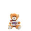Picture of Small Teddy Bear with T-shirt