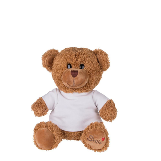 Picture of Medium Teddy Bear with T-shirt